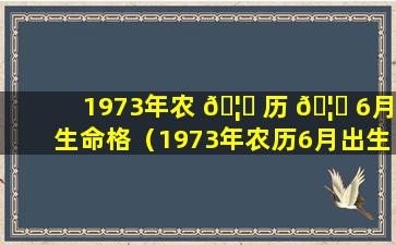 1973年农 🦆 历 🦊 6月生命格（1973年农历6月出生的人是什么命）